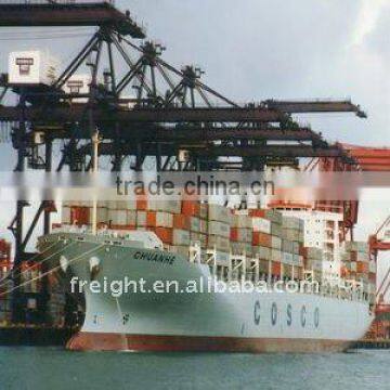 LCL sea freight/shipping from shenzhen to Dubai,DXB,United Arab Emirates