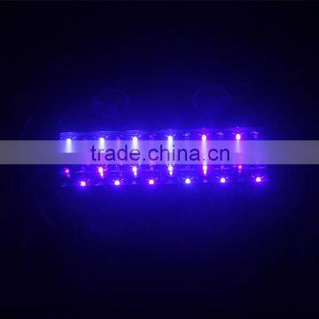 Red/blue/ White/UV Emitting Color SP600 Full Spectrum LED Grow Light for Indoor Plant Growing photo-4