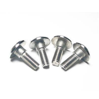 304 Stainless Steel Large Flat Head CD Decorative Screw photo-2