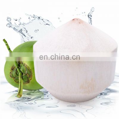 Fresh coconut Diamond Shape Siem coconut good quality good price from Viet Nam.