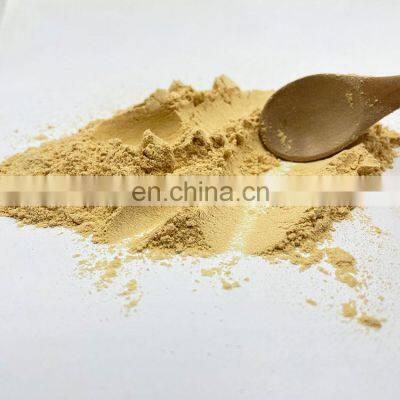 100% Pure Natural Plant Extract Organic Lion's Mane Mushroom Extract Powder