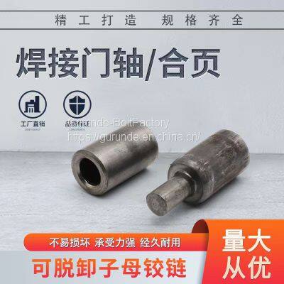Door shaft hinge