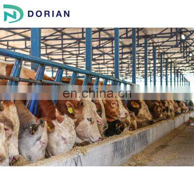 Commercial  long-span large prefab steel poultry cow house