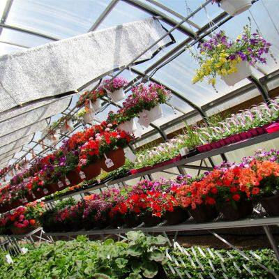 2025 Top Quality Greenhouse Climate Screen For At Least 5 Years Using Life photo-4