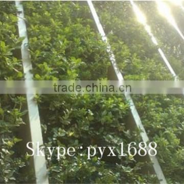 large indoor artificial plastic planted wall