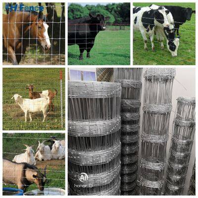 Hot Dipped Galvanized Green PVC Coated Iron Wire for Corrosion Resistance and Aesthetic Appeal in Farm Security Farm Fence Wire photo-3