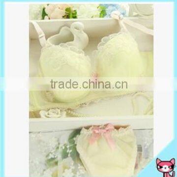 Excellent Quality Sexy Model Push Bra Cup