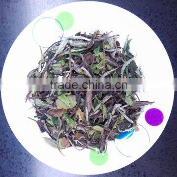 organic white tea Pai Mu Dan