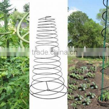 china factory sell tomato spiral stake indoor plant support