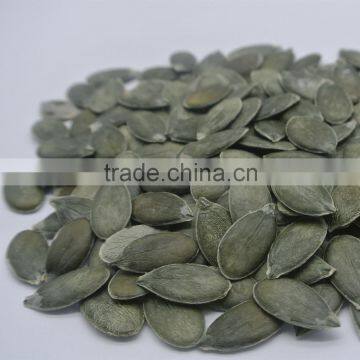 Agriculture Different Types of Pumpkin Seeds Kernel& Pumpkin Seeds GWS /Dark Green Pumpkin Seeds Grown Without Shell photo-3