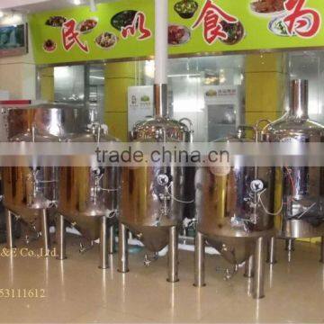 200L Mini beer equipment making draft beer