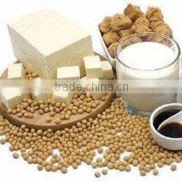 High Quality Fully Automatic Soy Protein/Soy Nuggests Production Line