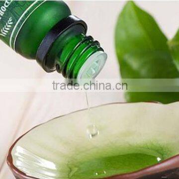 Professional personal care refreshing natural tea tree oil shampoo private label