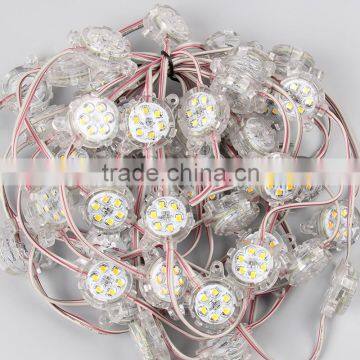 High Brightness DC24V SMD3528 6Pcs Waterproof IP67 Led Pixel For Led Lights photo-3
