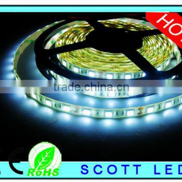 5M 5050 LED Hight brightness cold white 60 chip dc12v led strip 5050 rgb ip68 5050 LED