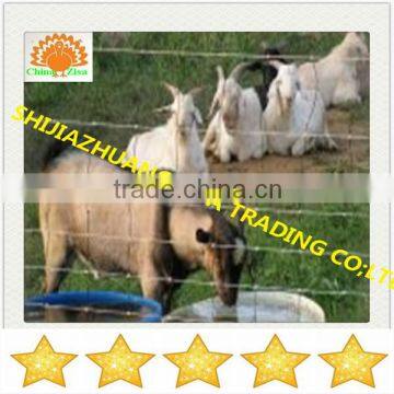 china cattle fence , horse fence