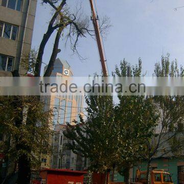 Truck Bed Fixed Hydraulic Boom Lift Platform for Rental and Dealing photo-2