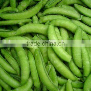IQF Frozen Sugar Snap Peas for Sale photo-4