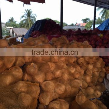 SEMI HUSKED COCONUT _ SKYPE :TIMUOI88 _ QiuQiu: 2290755420