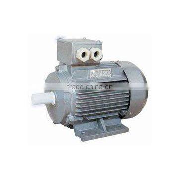 Y2 SERIES THREE-PHASE ASYNCHRONOUS ELECTRIC MOTOR