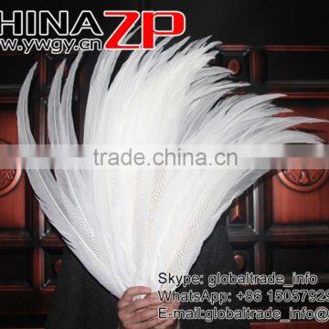 Top Supplier CHINAZP Bulk Sale Good Quality Wonderful Bleached White Long Silver Pheasant Tail Feathers Right photo-3