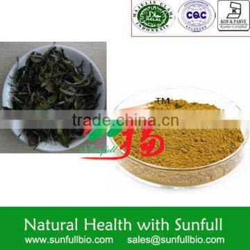 Instant White Tea Extract Powder