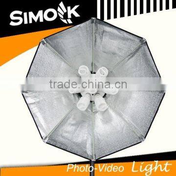 350W Continuous Light Photographic Equipment photo-2