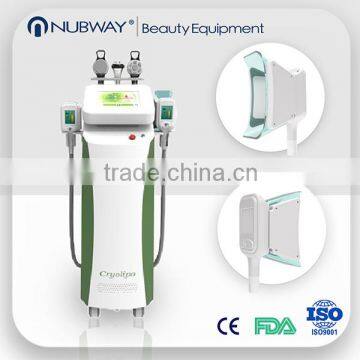 Local Fat Removal 2015 Cryolipolysis Cryotherapy 220 / 110V Beauty Equipment Fat Freeze Slimming Machine