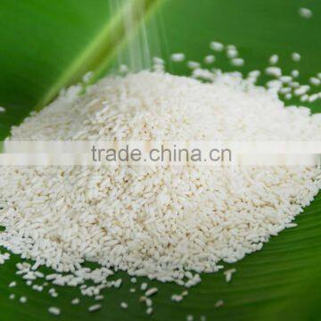 THE BEST QUALITY VIETNAM GLUTINOUS RICE 5% BROKEN- NEW CROP