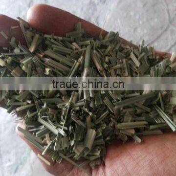 Cymbopogon Citratus Supplier for Africa