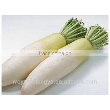 Fresh Radish photo-2