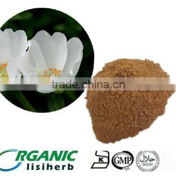 100% natrual Bacopa monnieri Extract