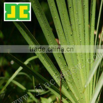 Sell Fatty Acid from Saw Palmetto Extract