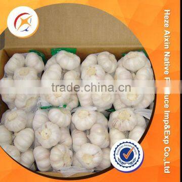 Chinese Fresh Normal Garlic 5.0 Cm 5.5cm