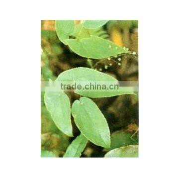 Shorthorned Epimedium Extract Powder