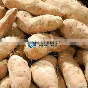 GL-380 Commercial Turnip Potato Carrot Washing Machine photo-4