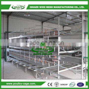 Hot Sale for China Egg Chicken Cage(ISO9001) for Poultry Farming photo-4
