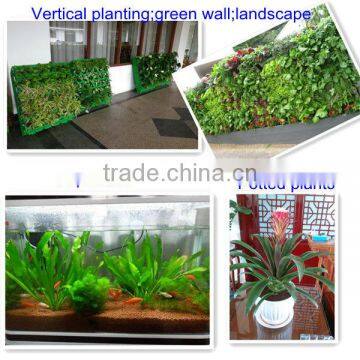 freshwater substrate