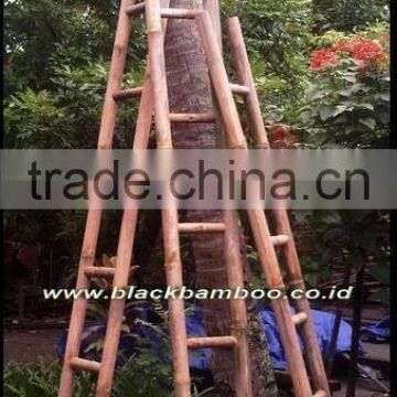 Bamboo Ladder