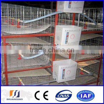 china whosesale chicken coop (factory)