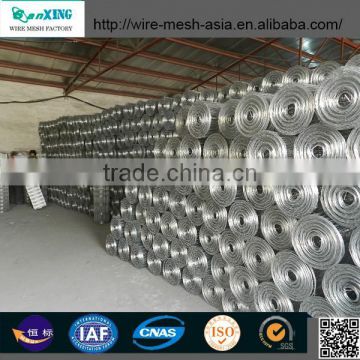 PVC Plastic coated Welded Wire Mesh for making crab trap