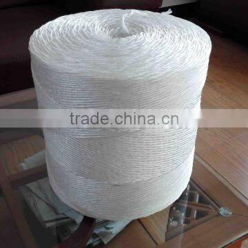 Baler Twine Prices photo-3