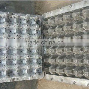 Plastic Egg Tray Mold photo-3