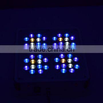 High Quality Apollo Cob Led Grow Light photo-2