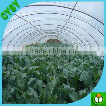 Free Sample Anti Scratch Tunnel Plastic Greenhouse Film Agriculture photo-2
