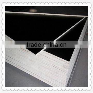 Film Faced Plywood / Marine Plywood /Shuttering Plywood photo-3