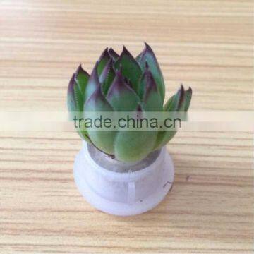 Wholesale Factory Cheap Glass Potted Meaty Cactus Plant Keychain, Super Mini Personal Gift Decorative Keychain Plant Design photo-4