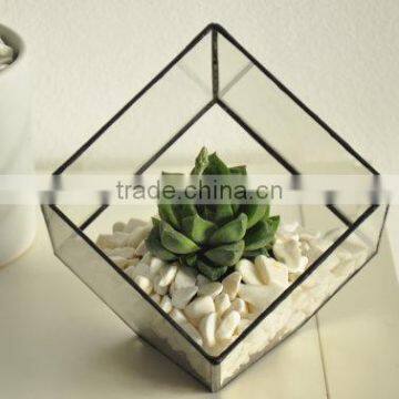 Indoor Gardening Geometric Glass Terrarium Container Succulent Planter