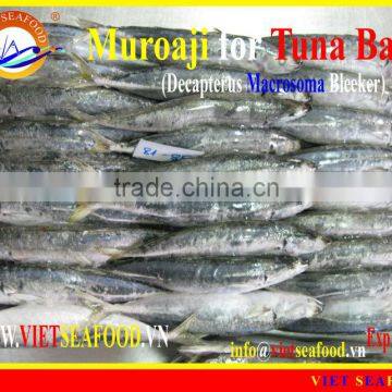 MUROAJI FOR TUNA BAIT photo-5