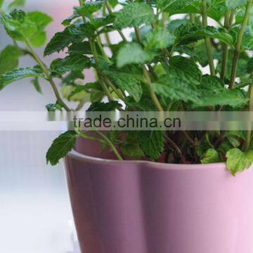 Hot Sale Melamine Flower Pot Top Quality photo-5
